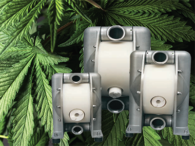 Case Study: AODD pumps meet high viscous cannabis oil transfer requirements